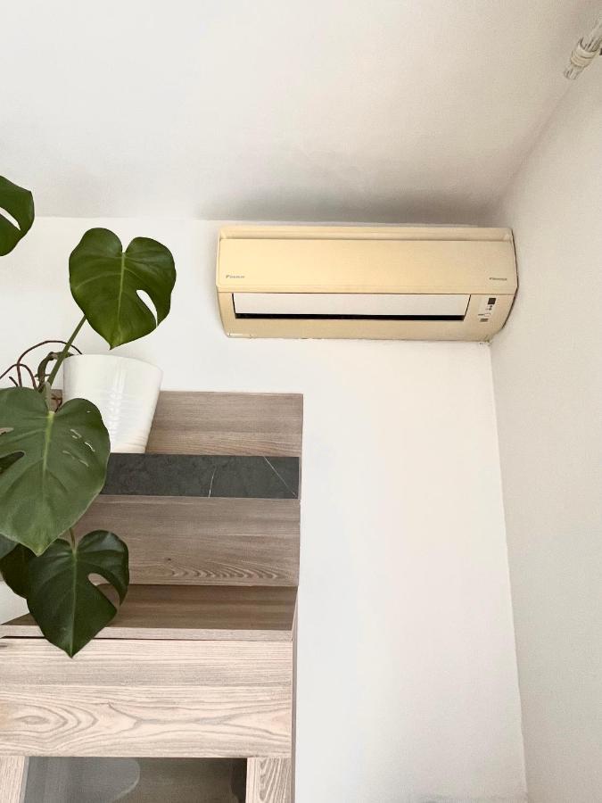 Antibes Home 2P 50M2 With Ac & Free Parking & 2 Balconies 外观 照片